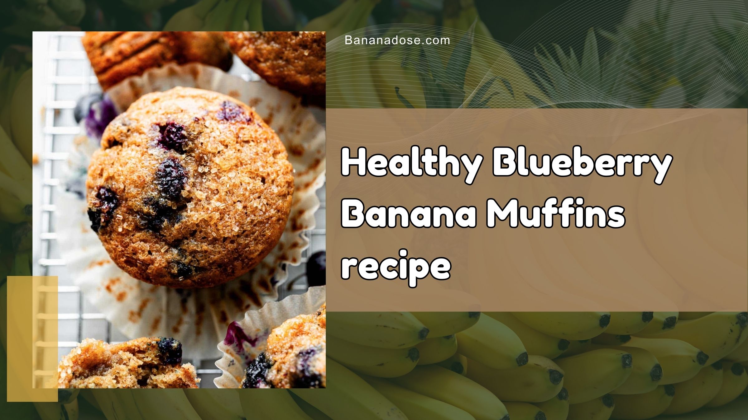 Healthy blueberry banana muffins made with ripe bananas and fresh blueberries in baking cups